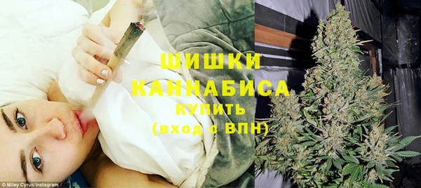 бошки Краснослободск