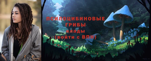мяу мяу кристалл Корсаков