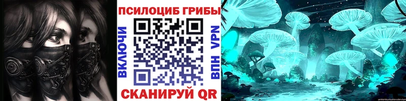 наркота  Мещовск  Псилоцибиновые грибы Cubensis 