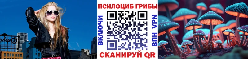 Галлюциногенные грибы Cubensis Мещовск